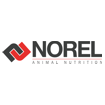 NOREL S. A. – SPANYOL